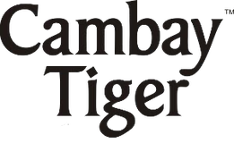 CambayTiger